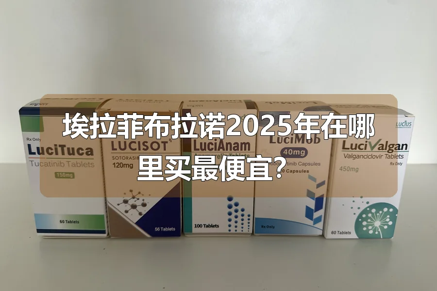 埃拉菲布拉诺2025年在哪里买最便宜?
